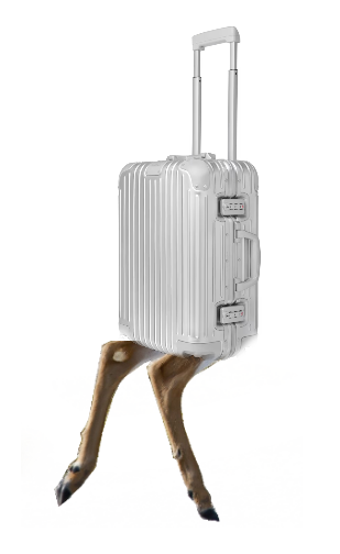 Photoshop type collage of luggage with deer legs